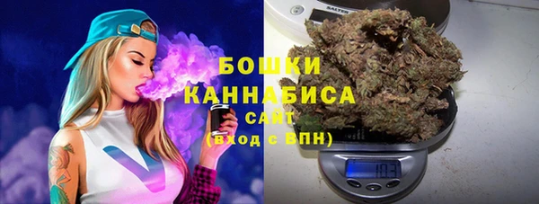a pvp Каменка